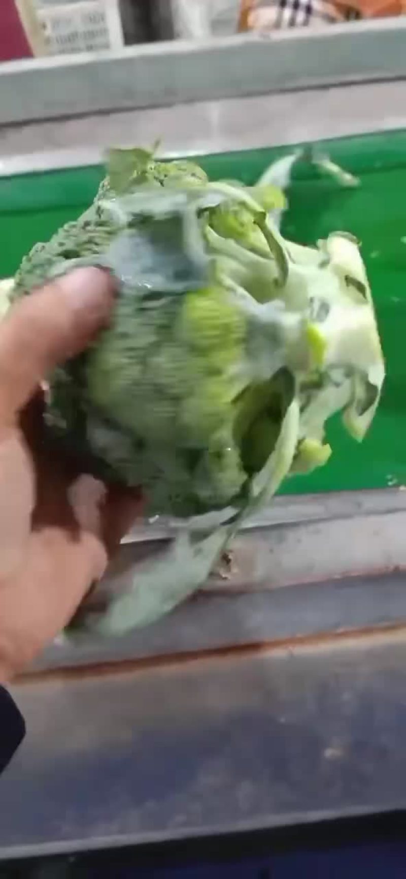 西兰花