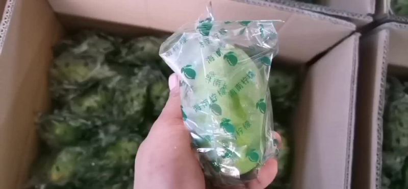 海南香水柠檬