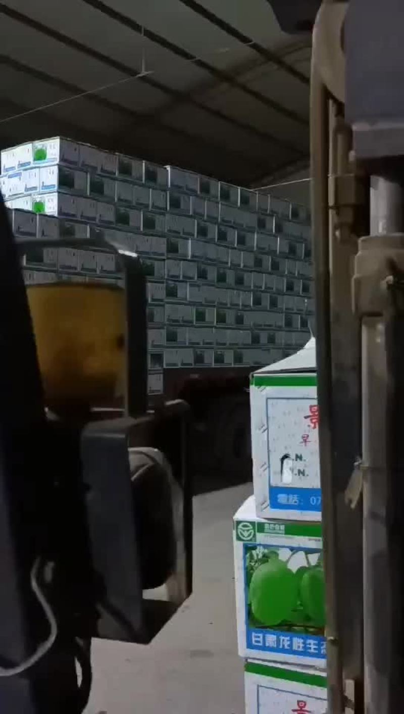 早酥梨