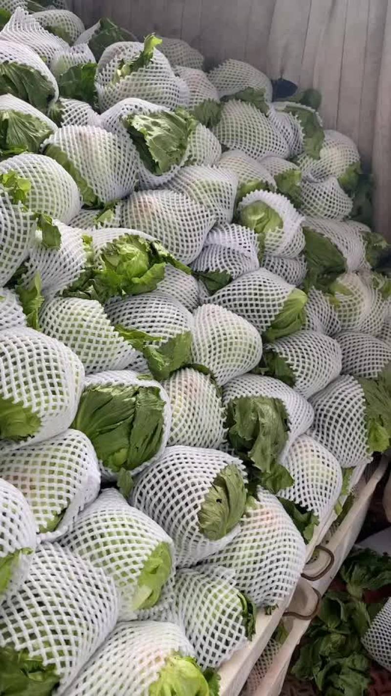 生菜球