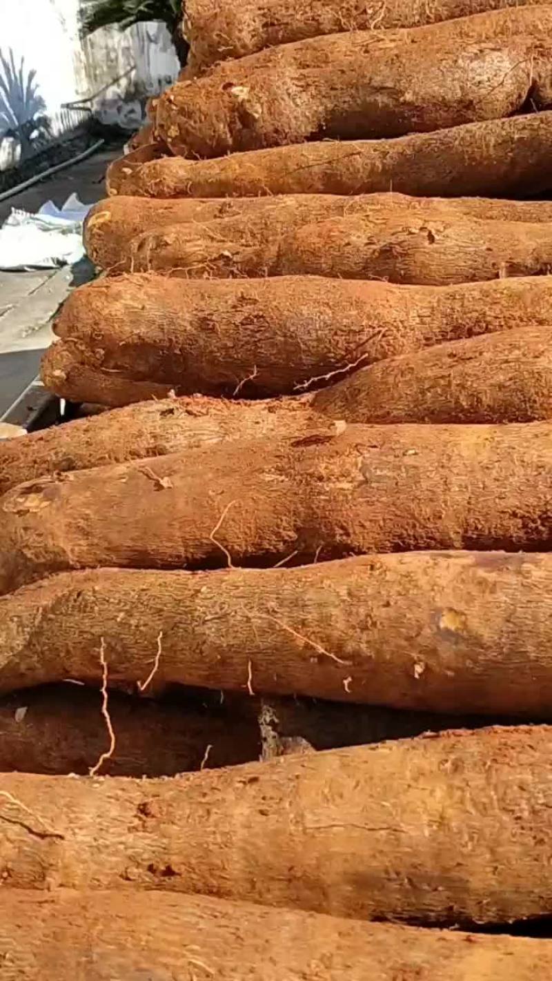 雅安山药