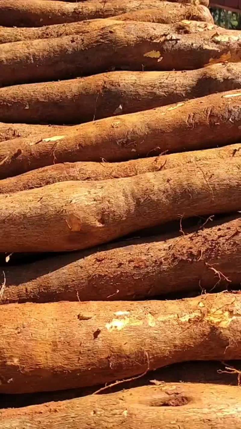 雅安山药