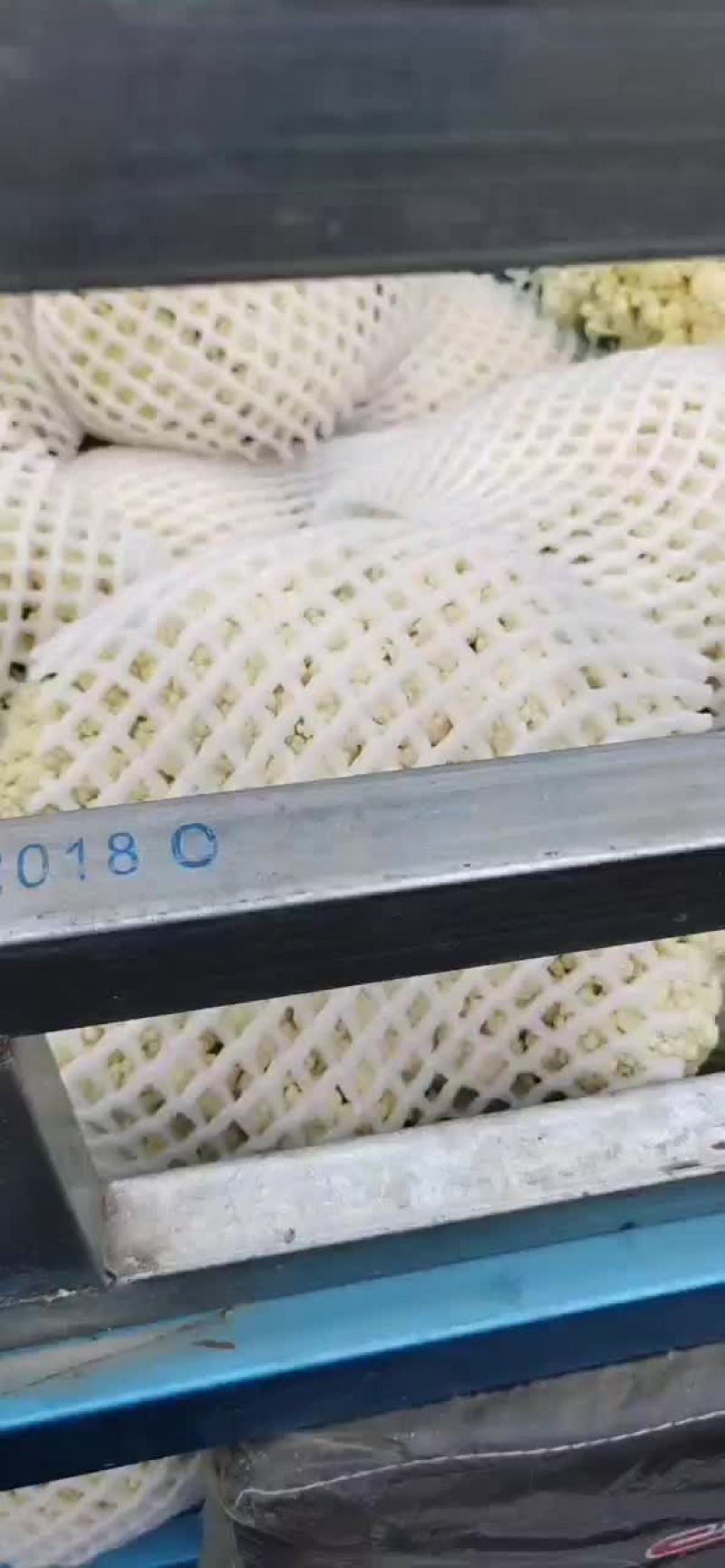 散花，甘蓝，大量有货