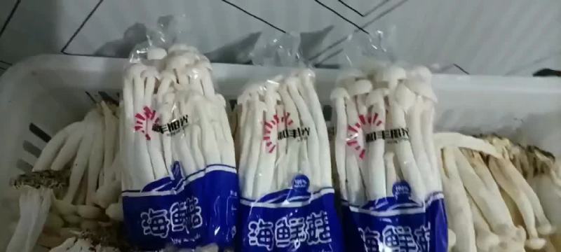 工厂化海鲜菇价钱合适。