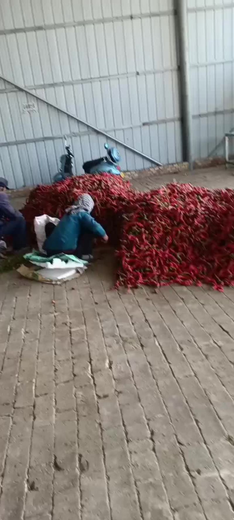 做辣椒酱厂