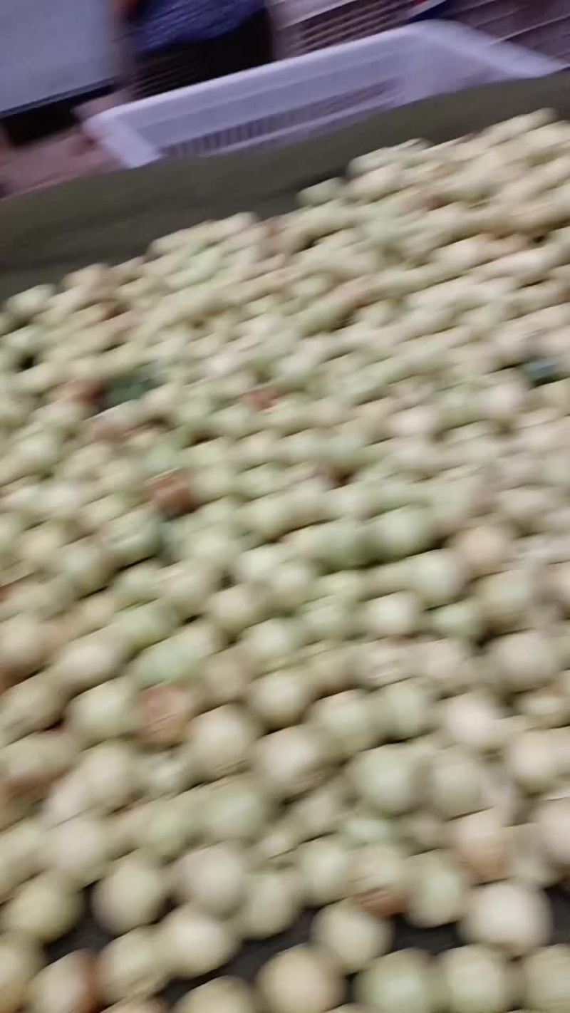 冬枣