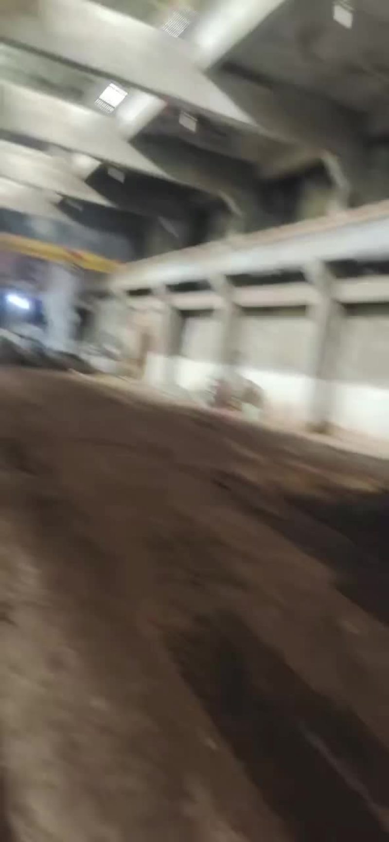 茅台镇酱香型酒糟