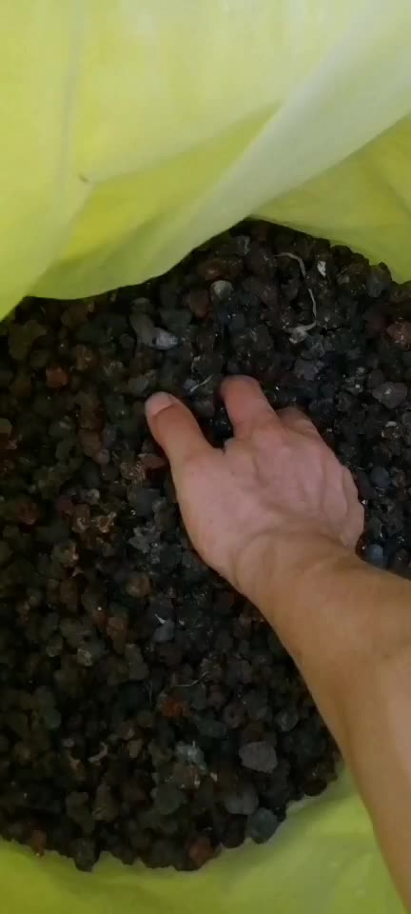 桃胶