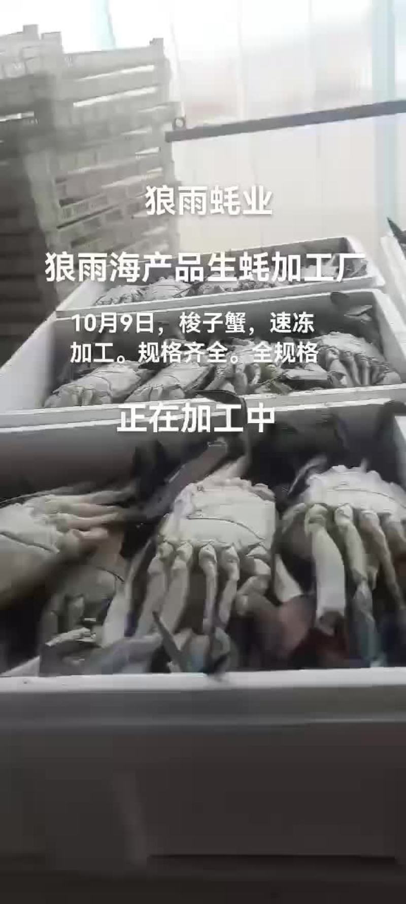 梭子蟹