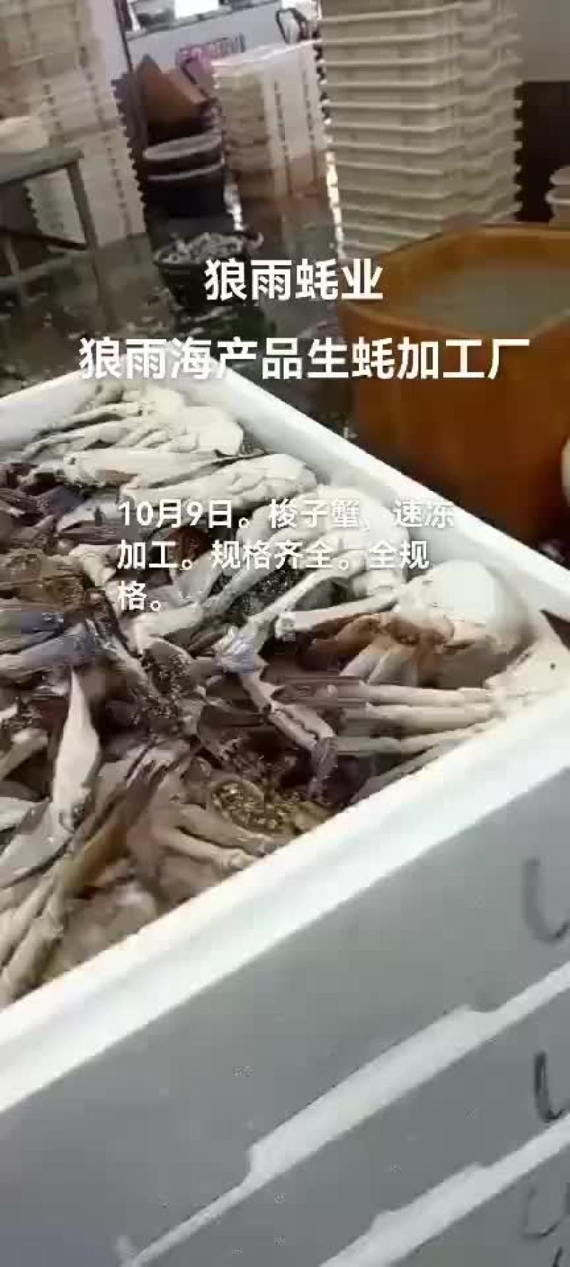 梭子蟹