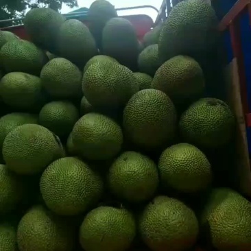 受台风狮子山影响。需要订货的老板关注复航信息提前联系