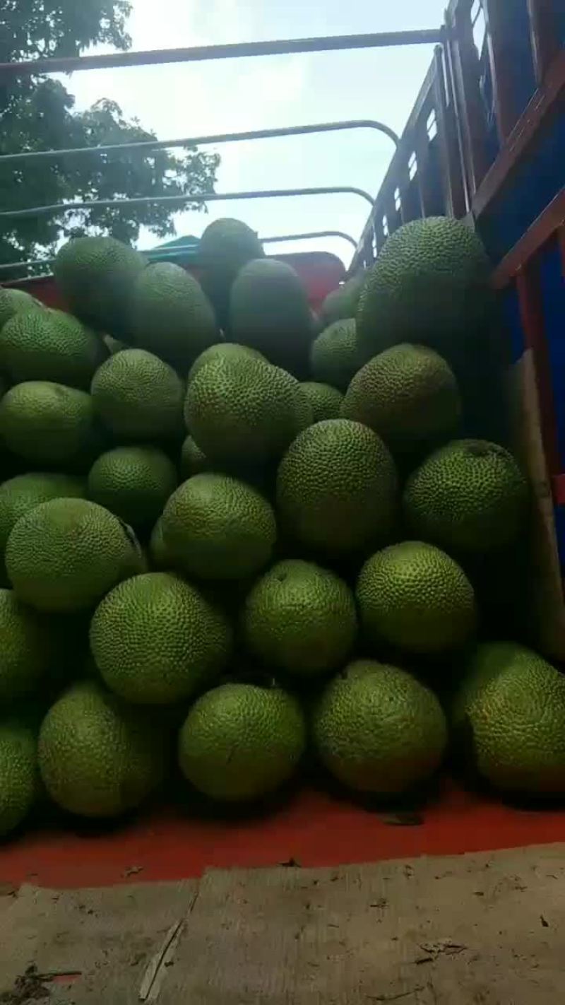 受台风狮子山影响。需要订货的老板关注复航信息提前联系