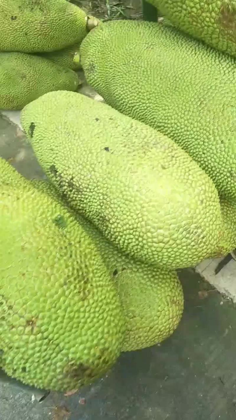 受台风狮子山影响。需要订货的老板关注复航信息提前联系