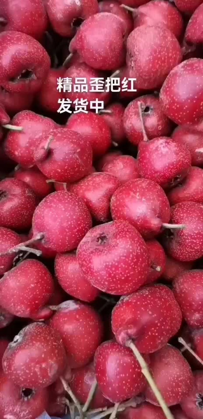歪把红