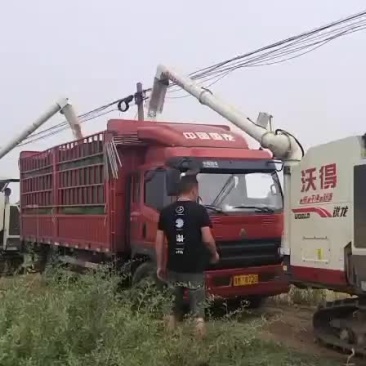 水浇地出租