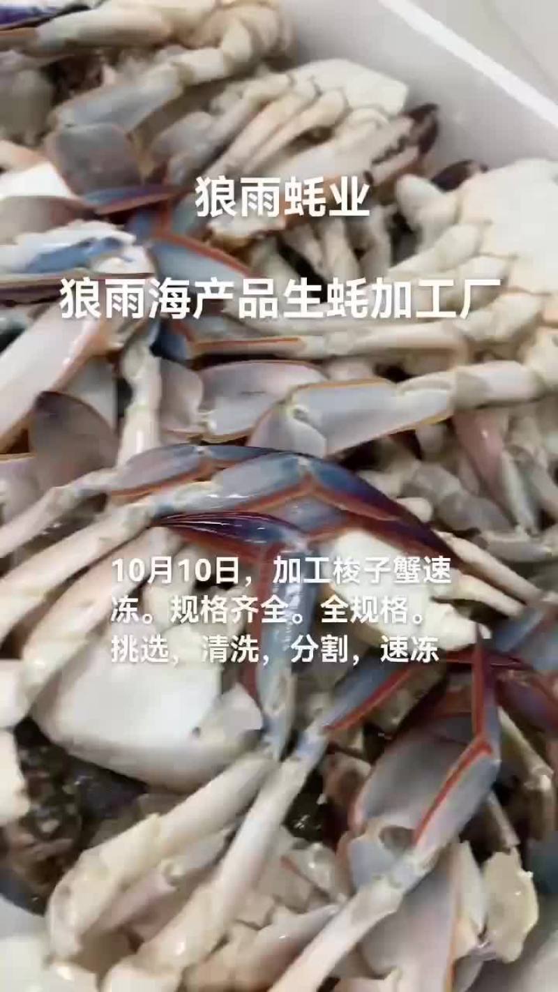 速冻梭子蟹