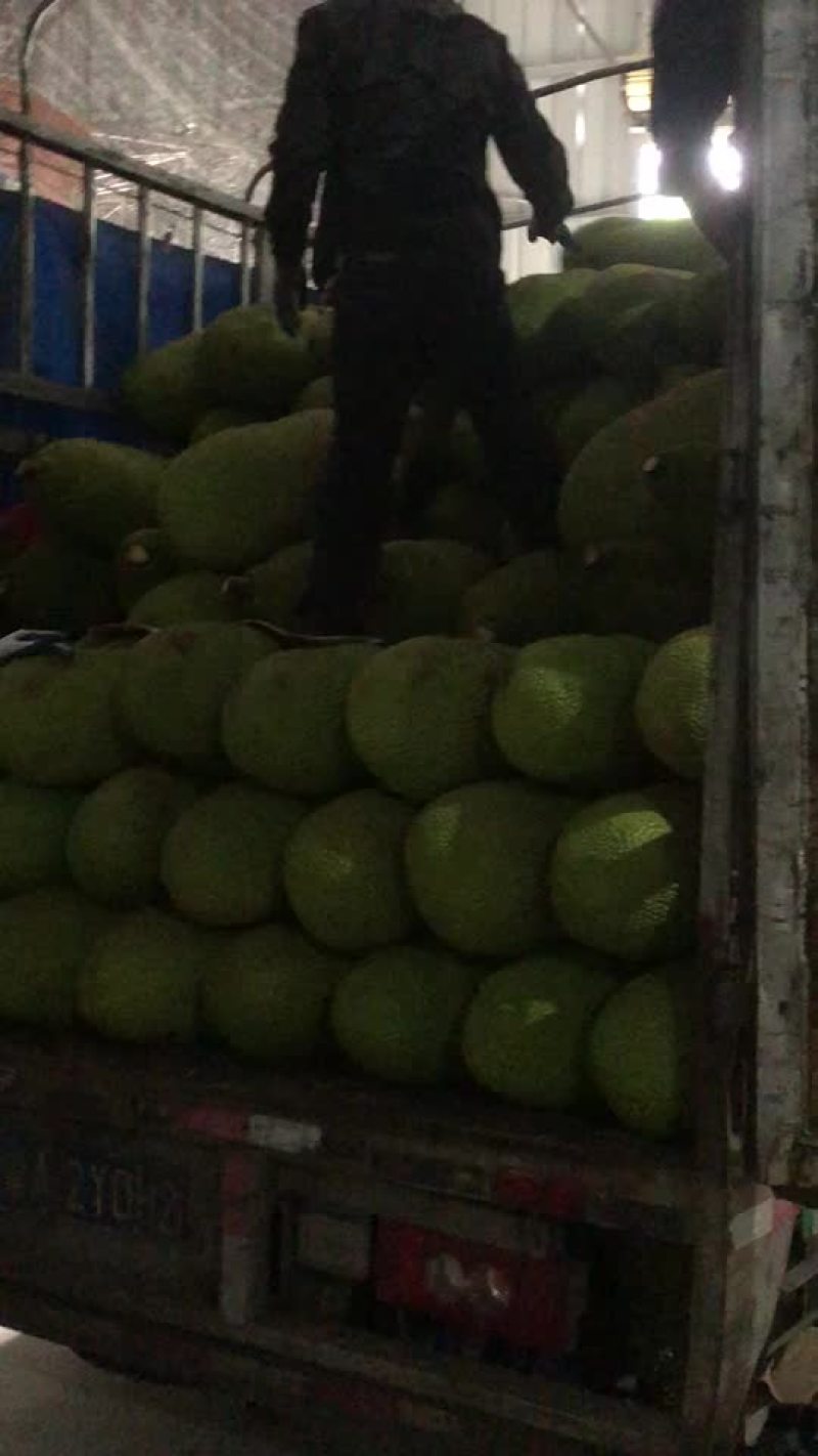 海南青皮菠萝，市场大果，量大优惠