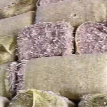 揉丝玉米秸秆草块