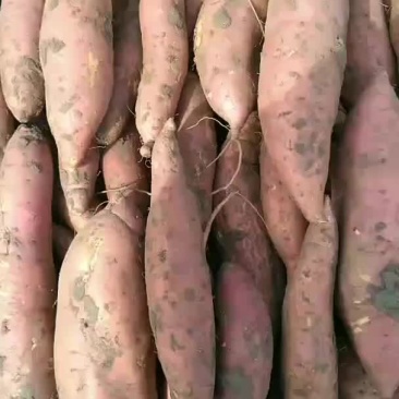 自产自销没有中间商