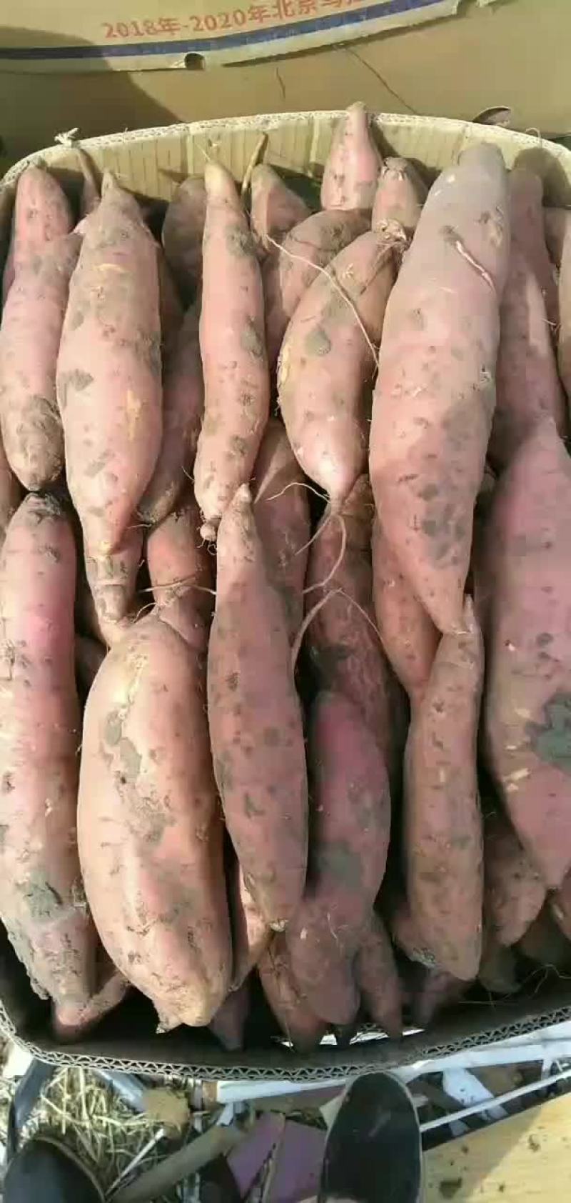 自产自销没有中间商
