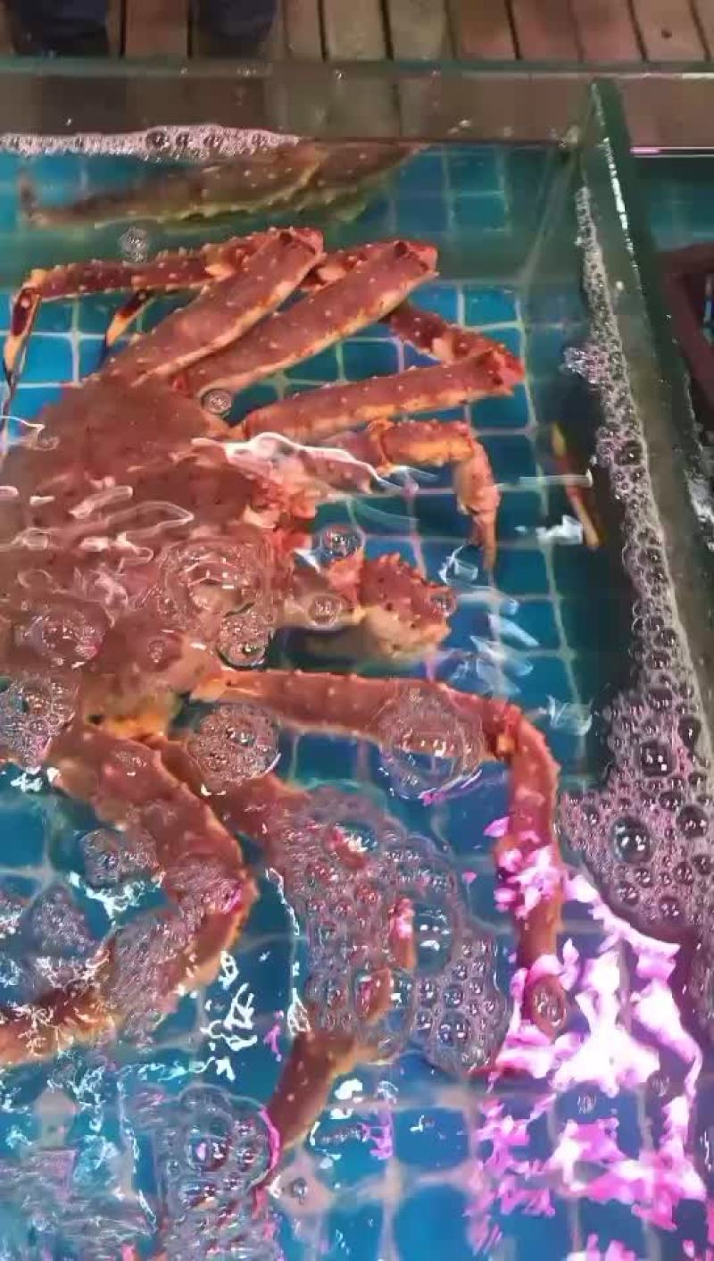 鲜活帝王蟹