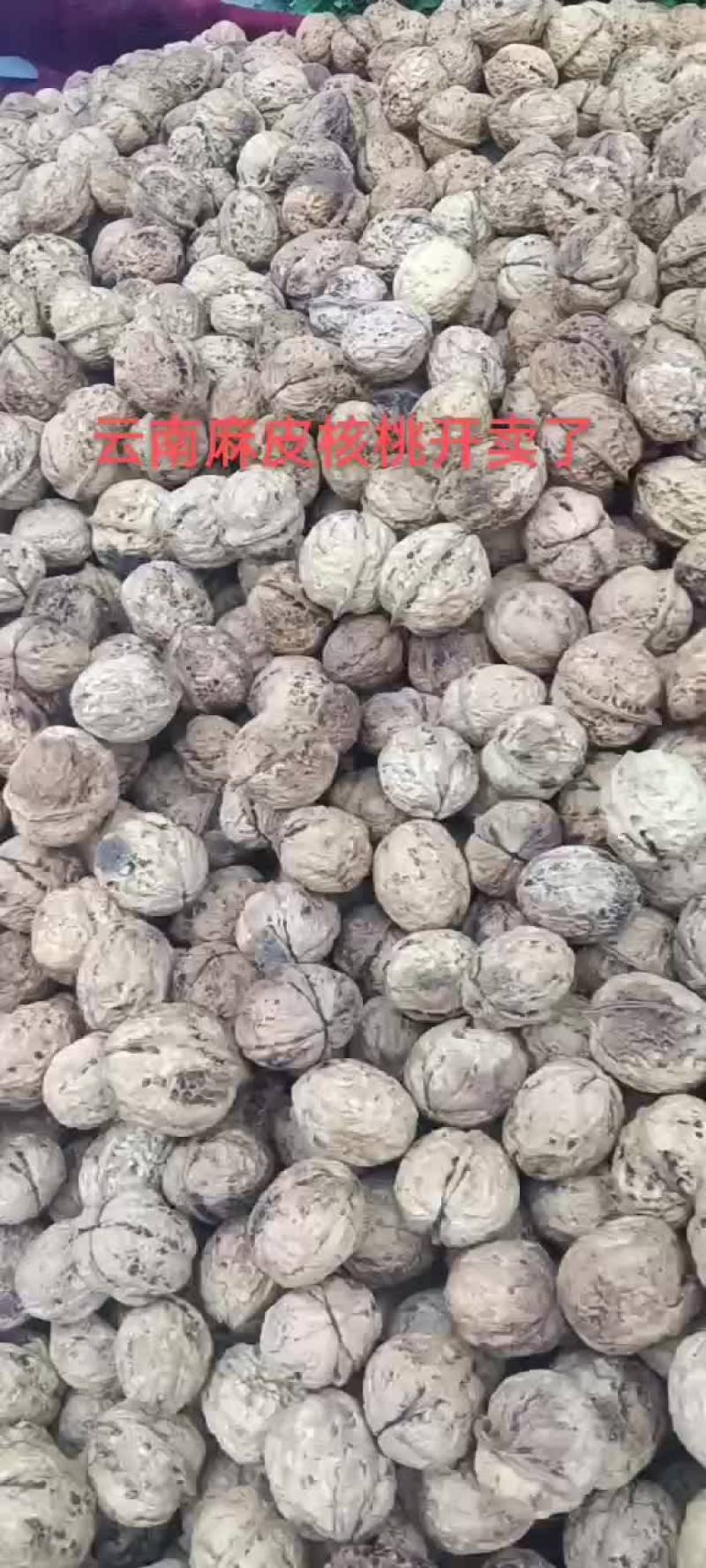 云南麻皮核桃，核桃仁