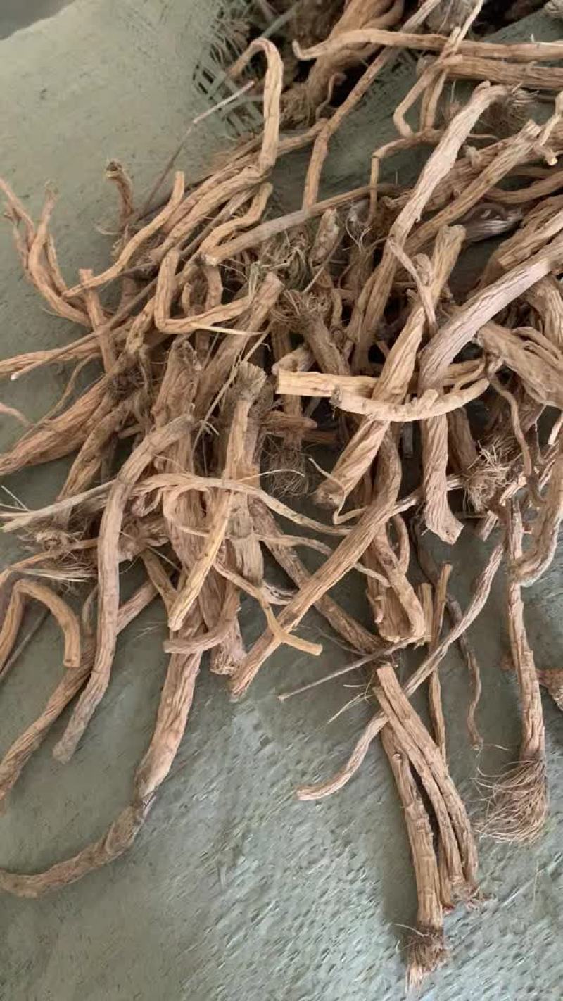 大量收购鲜防风