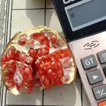 石榴