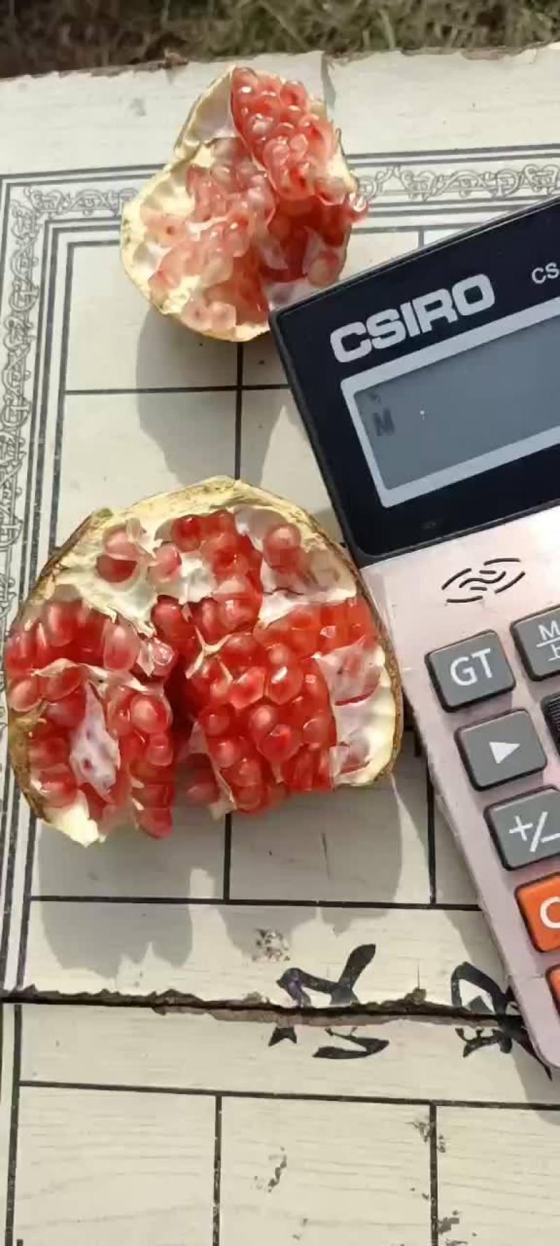 石榴