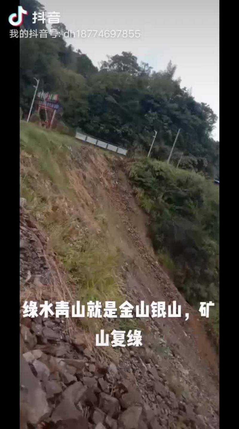 专业边坡喷播绿化，矿山复绿，各种草皮，台湾青，百慕达，结