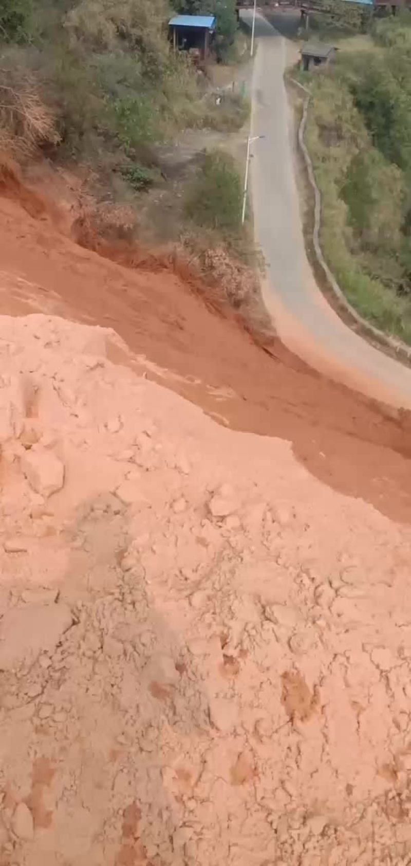专业边坡喷播绿化，矿山复绿，各种草皮，台湾青，百慕达，结