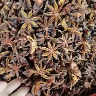 调料八角，产地直销，各种规格。不同质量不同价格