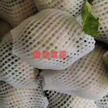 松花，菜花，甘蓝，