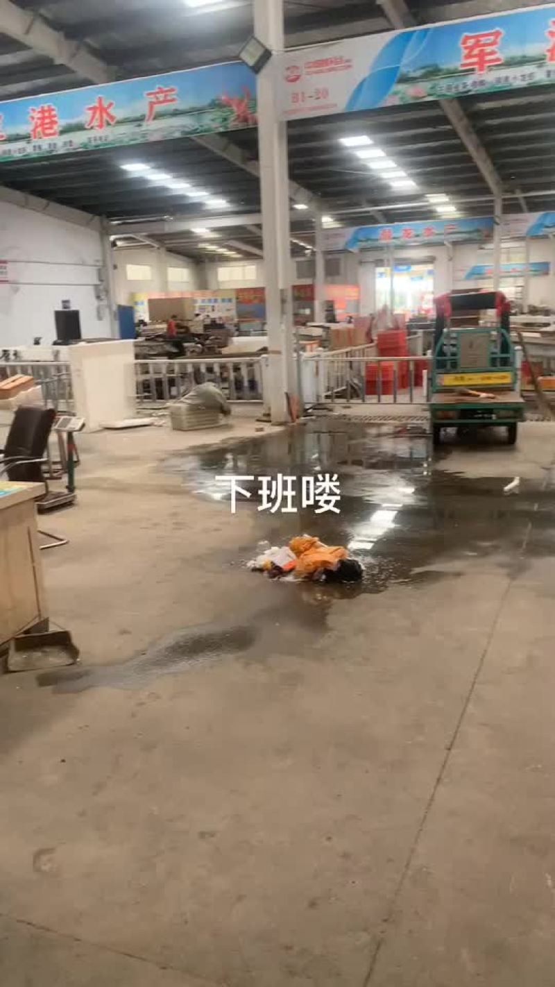潜江小龙虾苗全国接单中⋯保质保量价格便