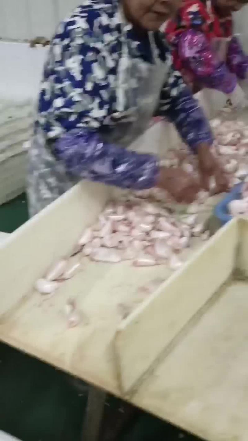 鱼泡