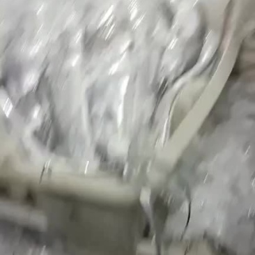 鲳鱼