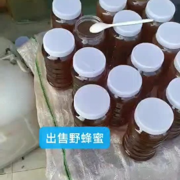 大山野蜂蜜