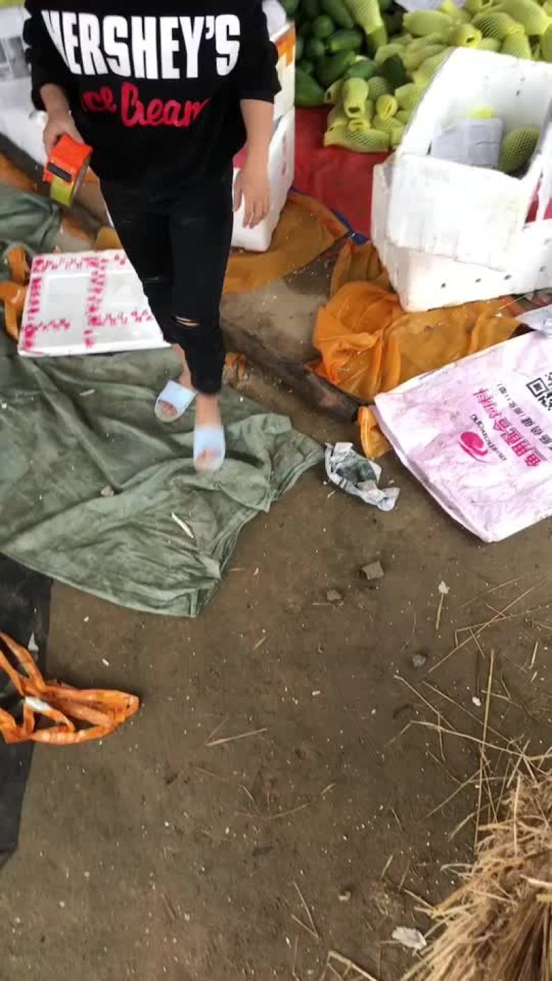 木瓜木瓜，高营养的木瓜，发财致富，找我就对了，只做好木瓜