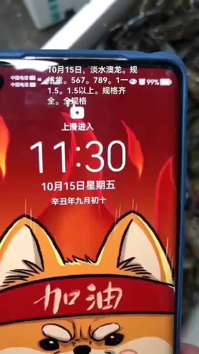 淡水澳龙