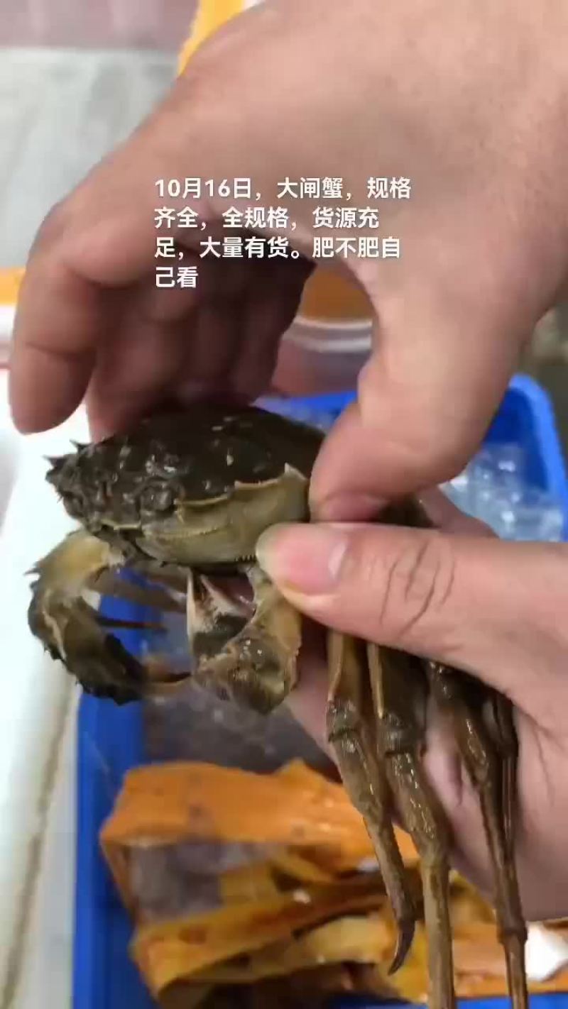 大闸蟹