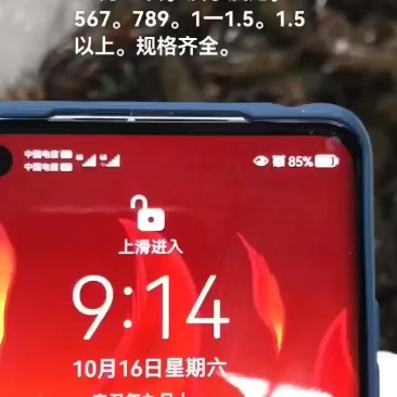 淡水澳龙