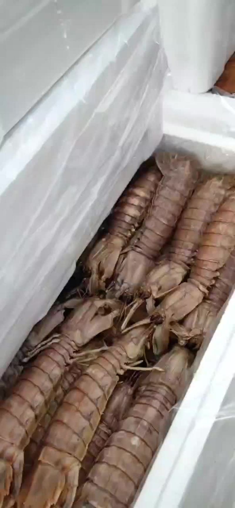 熟冻皮皮虾，自己加工，自助餐可用，欢迎新朋友购物