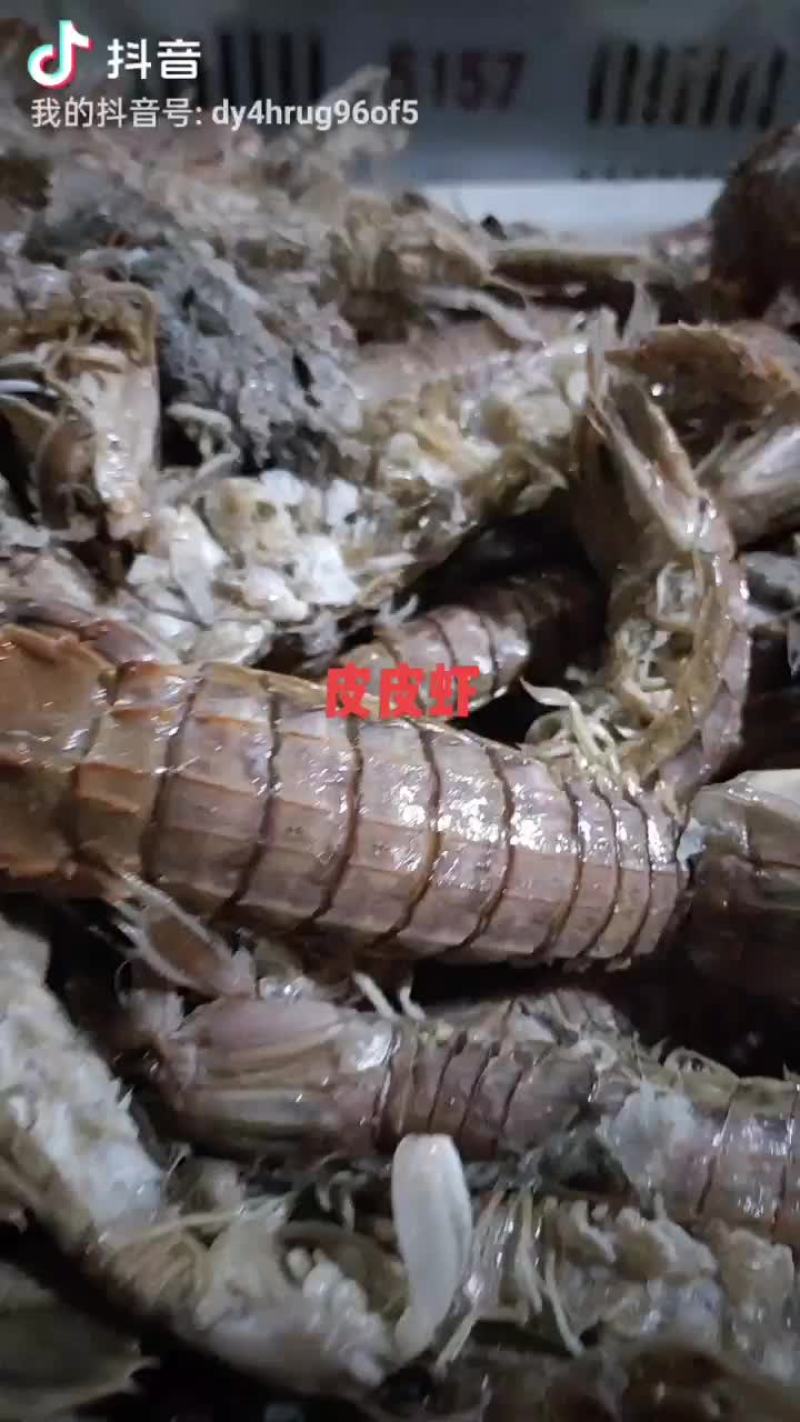 熟冻皮皮虾，自己加工，自助餐可用，欢迎新朋友购物