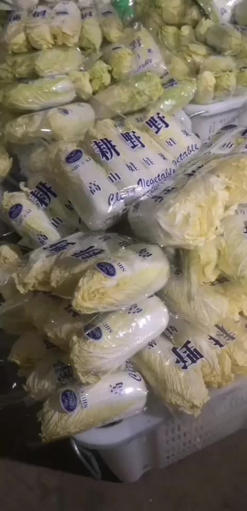 精装娃娃菜