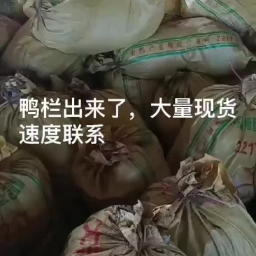 出售鸭栏
