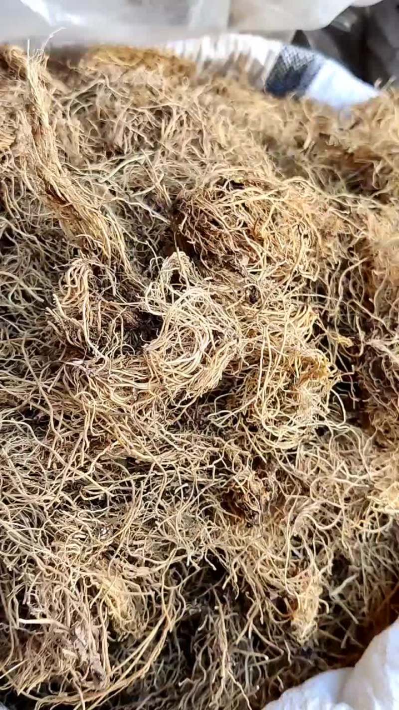 细辛一公斤起批不包邮颜色好质量有保障