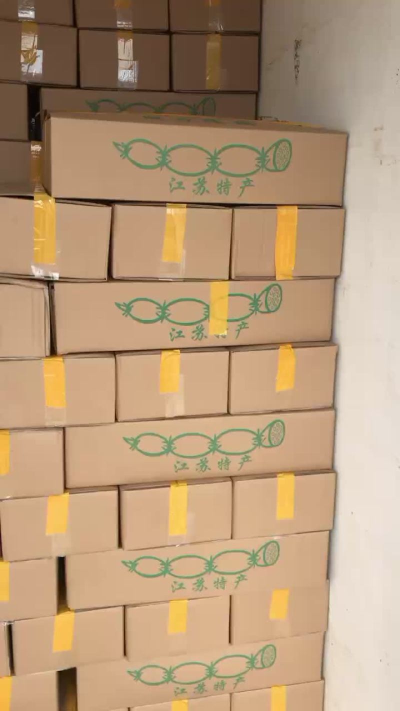 精品粉藕