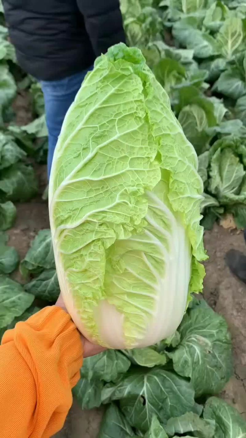 玲珑黄