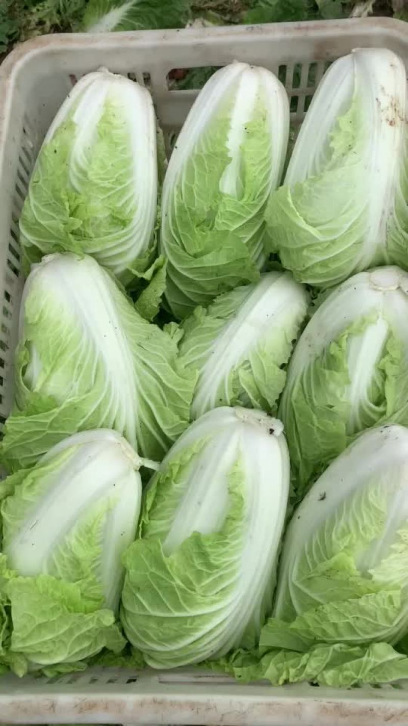 保证质量