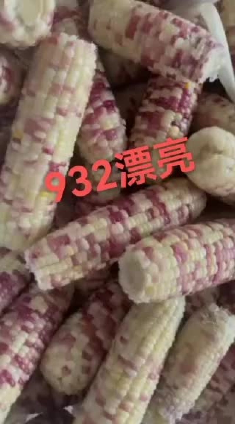 速冻花糯